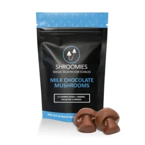 buy shroomies chocolate bar online