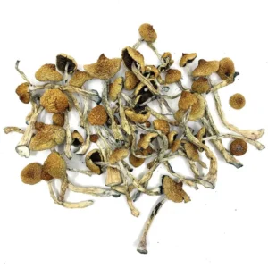 magic mushrooms delivery UK