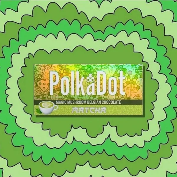 Polka Dot Matcha for sale