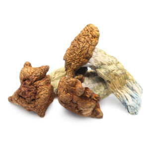 Buy magic truffles UK