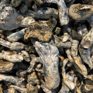 magic mushrooms order online