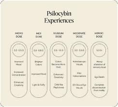 How to Microdose Psilocybin Mushrooms