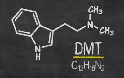 What Is DMT? | DMT Full Guide