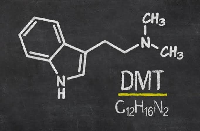 dmt for sale