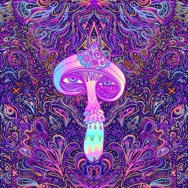 5-meo-dmt-online-guide